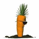 瘦腿最有效的动作萝卜腿,萝卜腿瘦腿矫正神器