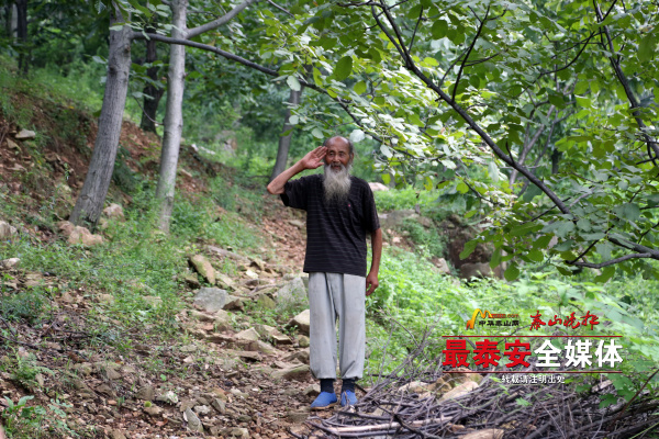 想有一份“泰山情怀”？线上“认购”百年板栗