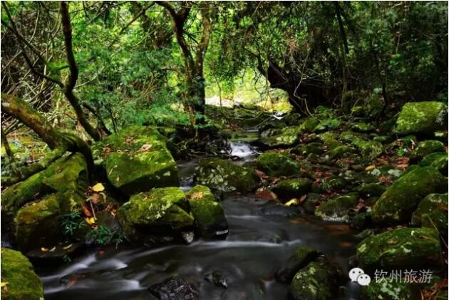 北部湾旅游,北部湾旅游攻略自由行