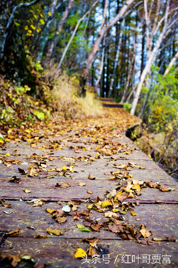 从零开始学习摄影构图,从零开始学摄影拍照技巧