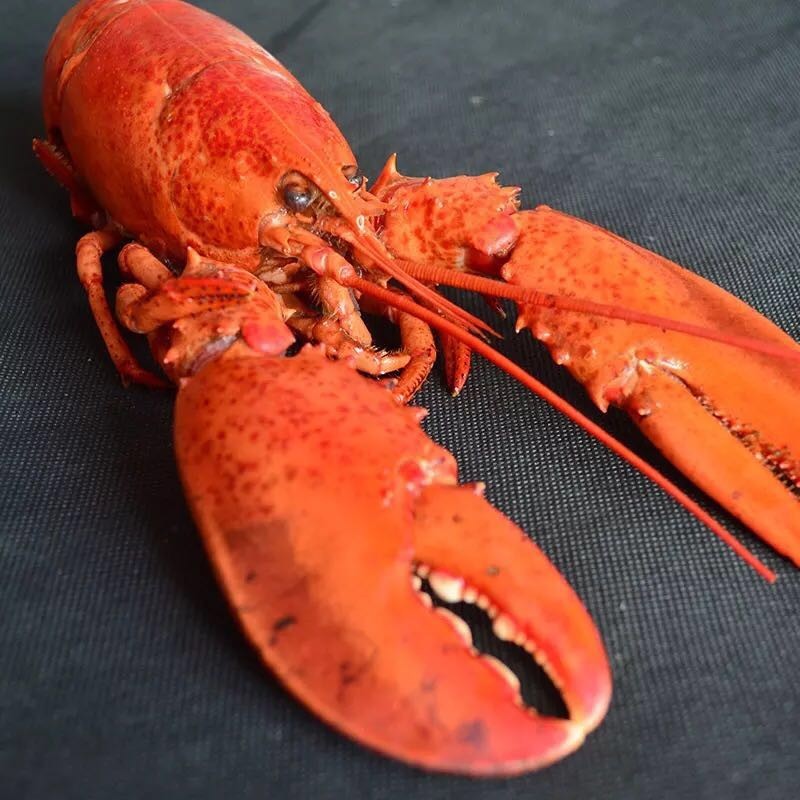 *情催**魔鬼七夕礼盒！法国海归米其林大厨撸袖手作