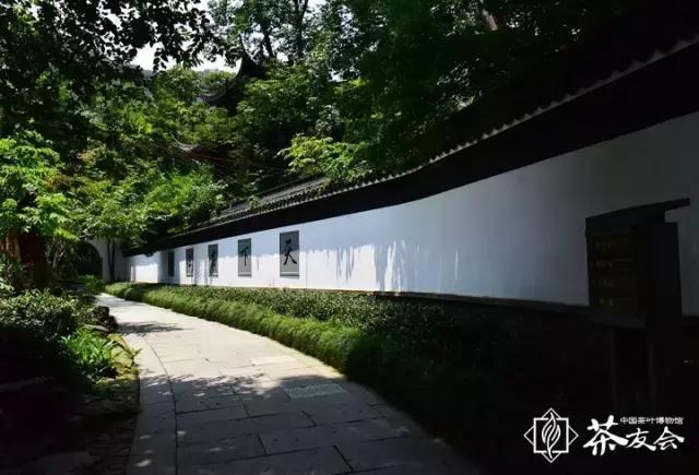 西湖边可以临湖的茶馆推荐,西湖最好茶楼排名