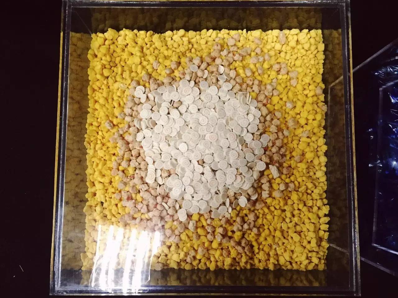 校红|北电林宇瀚-1000多包方便面调味料作品的创造者