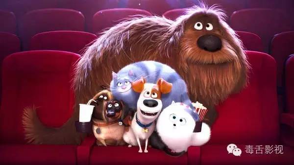 爱宠大机密和宠物大机密,疯狂动物城爱宠大机密