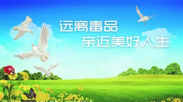 面对吸毒的家人该怎么办,面对毒品的自我保护