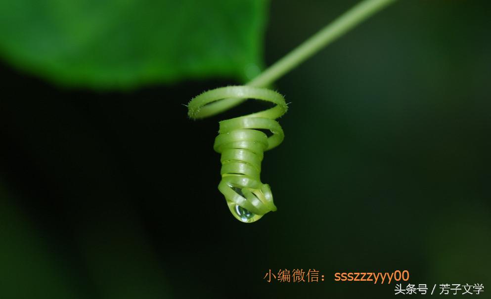 血脂高怎么办倪海厦,血脂高怎么办