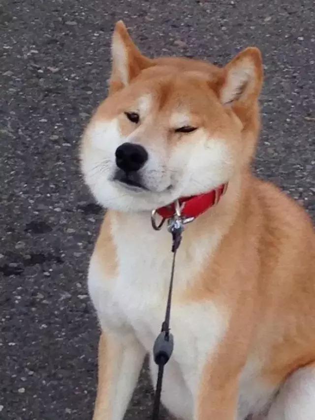 拜托,七夕别再送那些过气雷人的东西了,我选择原地爆炸!