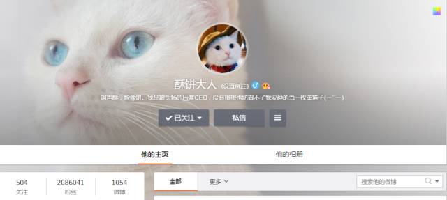 自媒体大事件,网红大v的猫狗