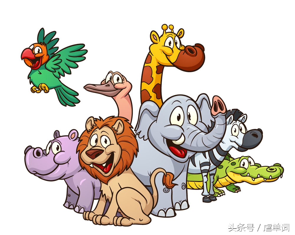 100个动物常用单词,所有的动物单词总结