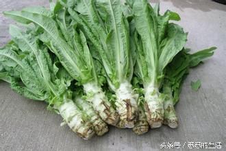 大便解不出来是不是痔疮原因,饮食清淡大便稀不成型痔疮