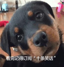 十条笑话：男人就像芒果，外表黄，里面更黄！