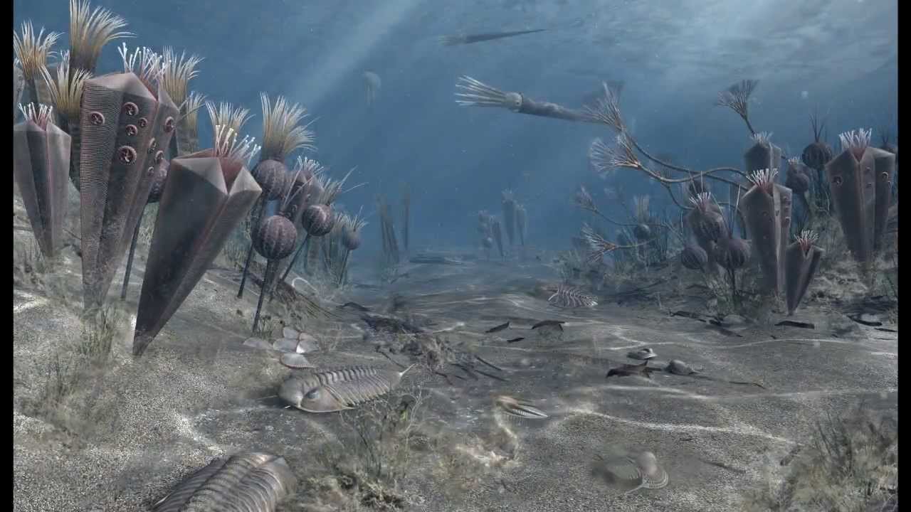 来自太空的毁灭：伽马射线暴详解