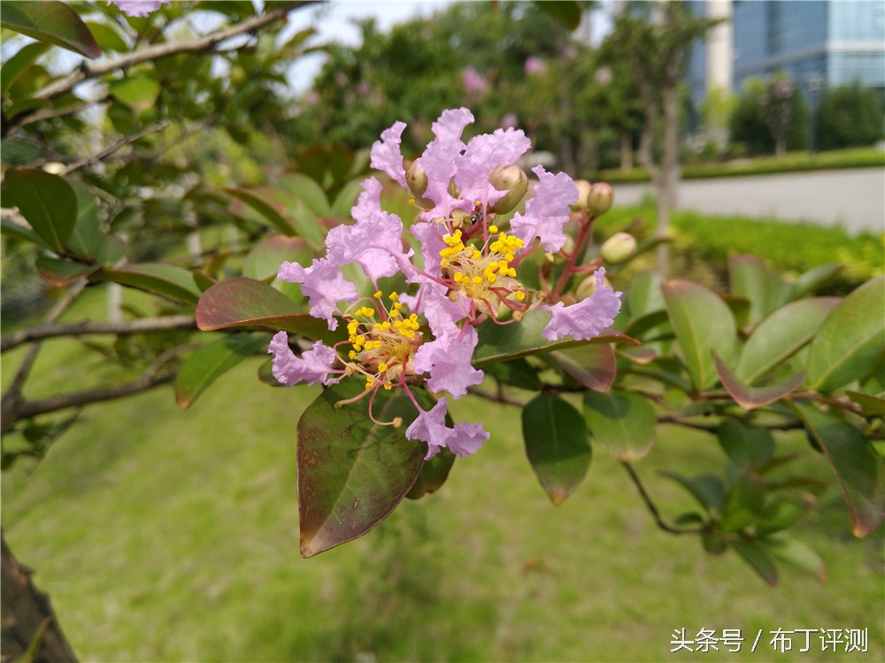 华为g9青春版体验,华为g9青春版特色