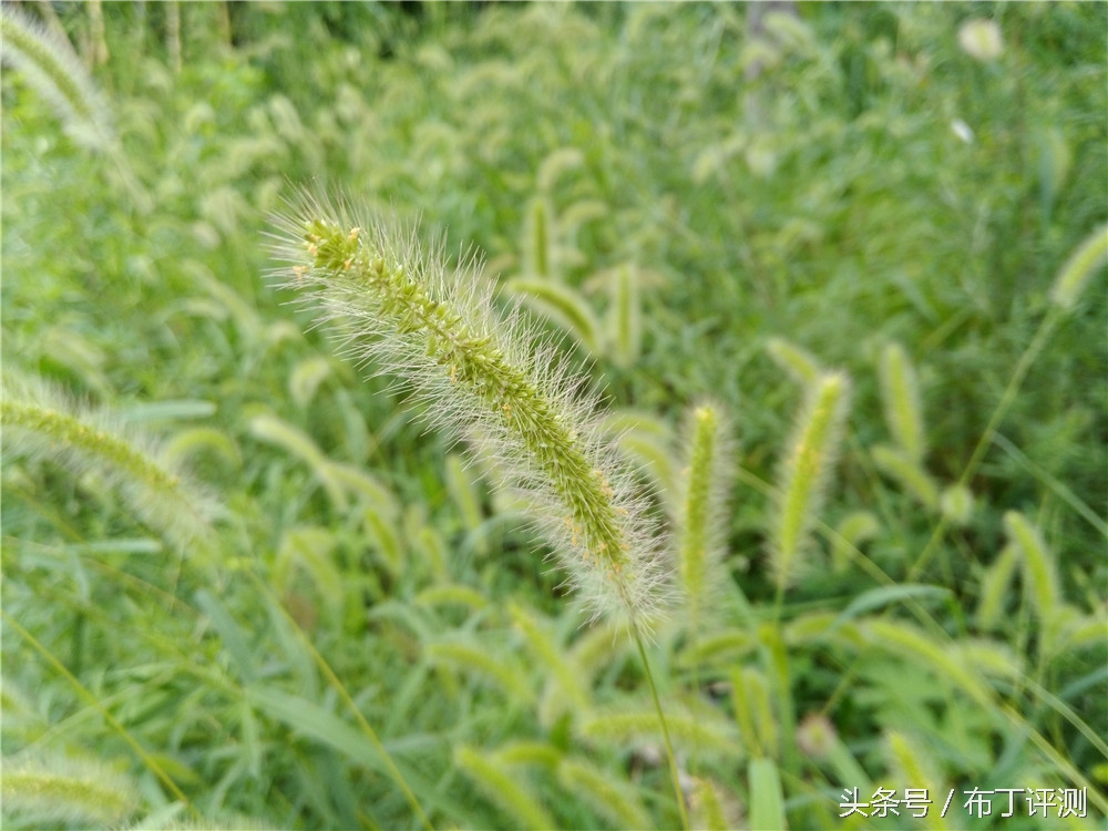华为g9青春版体验,华为g9青春版特色