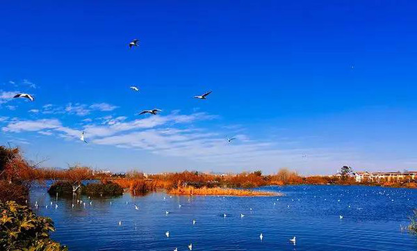 最值得推荐的5个地方,这五个地方虽美但最好别在秋天去