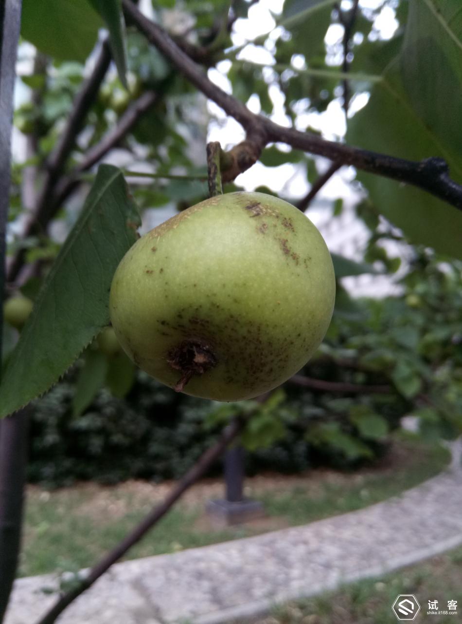 魅蓝3青年良品参数,魅蓝3s标准版评测