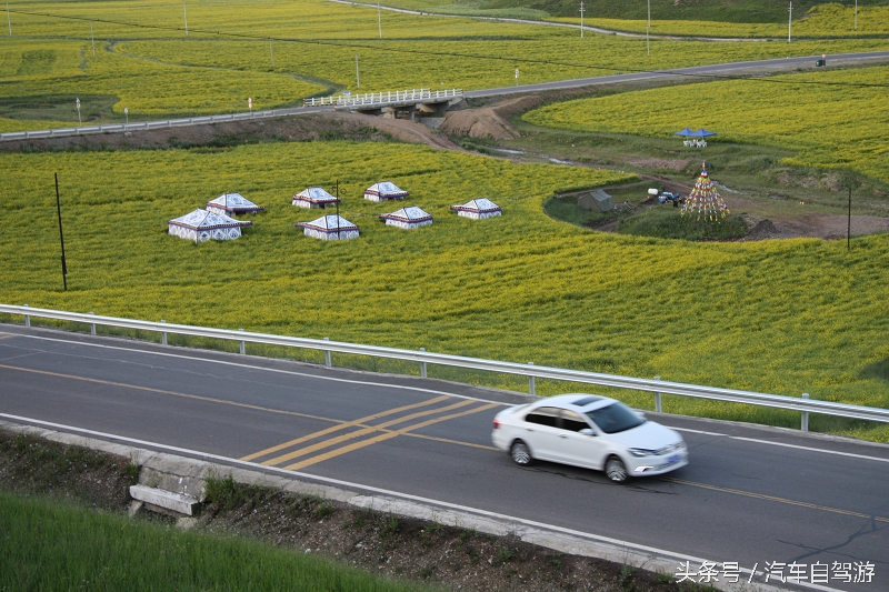 洛克之路卓尼段是从哪到哪,洛克之路路过卓尼县吗