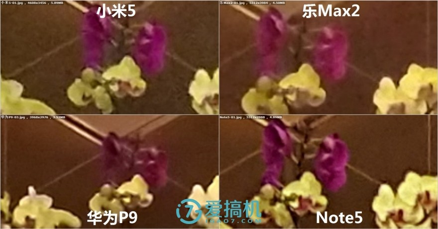 乐max2手机拍照评测,乐max2拍照效果怎么样