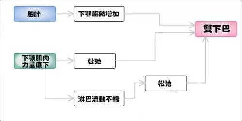 如何减掉双下巴视频,如何减掉双下巴和小肚子