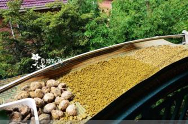 做大酱风俗,句容茅山风俗