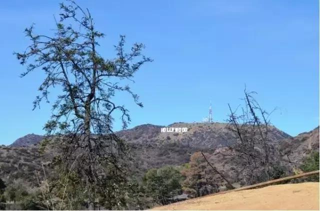 带你走进美丽的地方,洛杉矶天使之城美景图