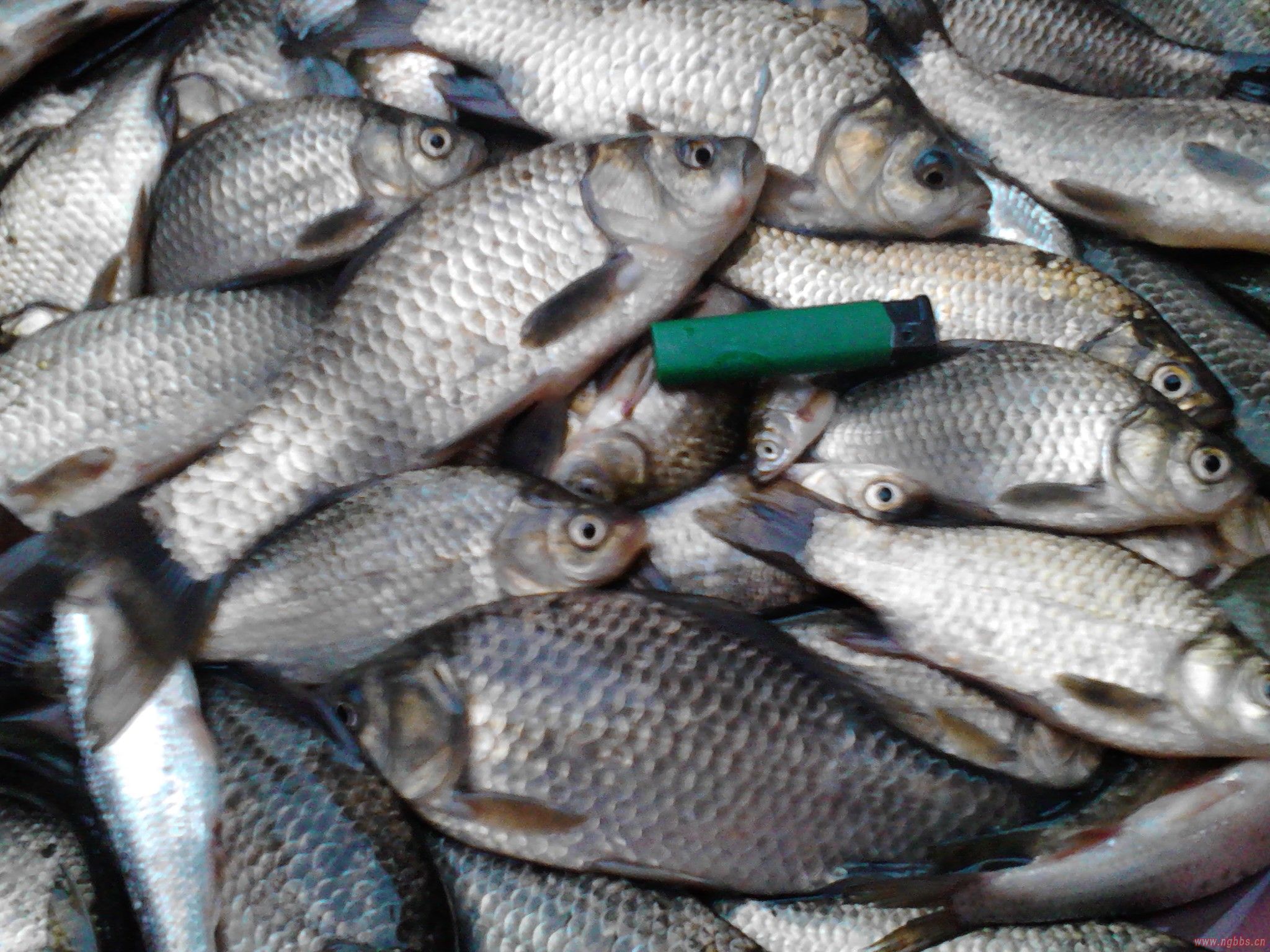 奶爸的幸福生活后续小说,奶爸的幸福电视剧全集在线观看