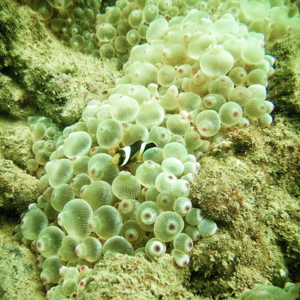 里约大冒险旅行,里约大冒险巴西旅游