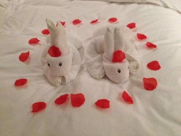 涵田度假村酒店溧阳夏季攻略,溧阳天目湖涵田度假村餐厅