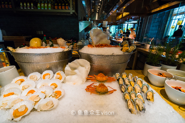 来到十三朝古都,来到十三朝古都西安