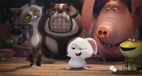 爱宠大机密和宠物大机密,疯狂动物城爱宠大机密