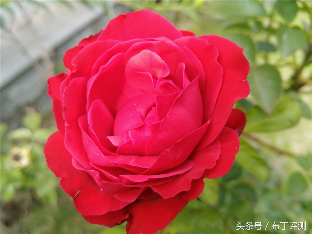 华为g9青春版体验,华为g9青春版特色