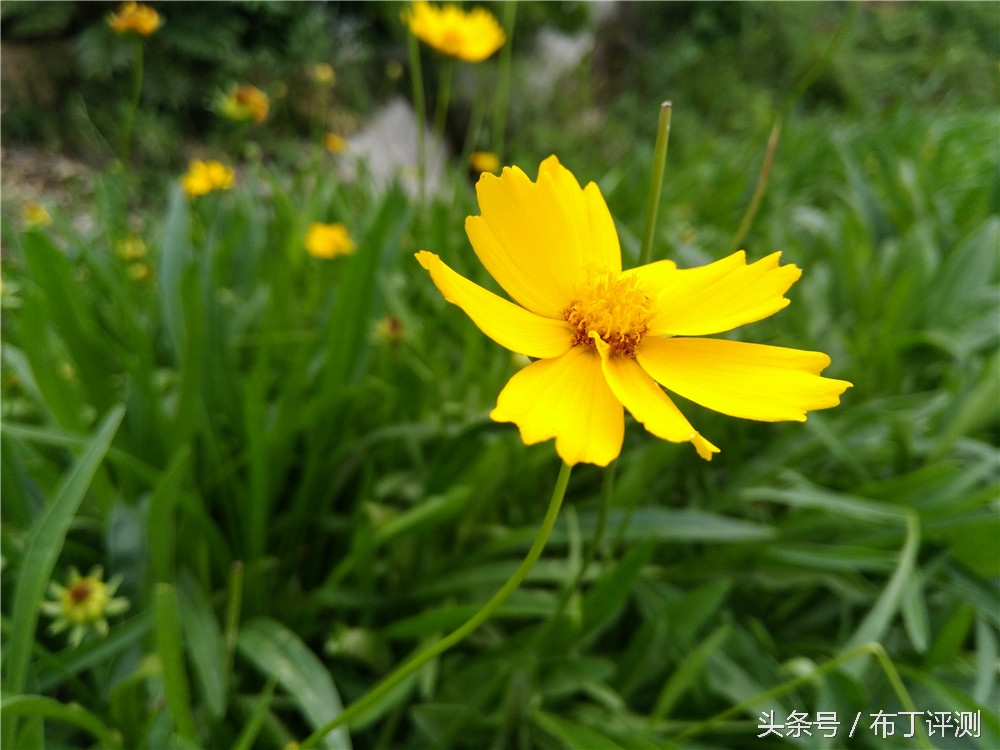 华为g9青春版体验,华为g9青春版特色