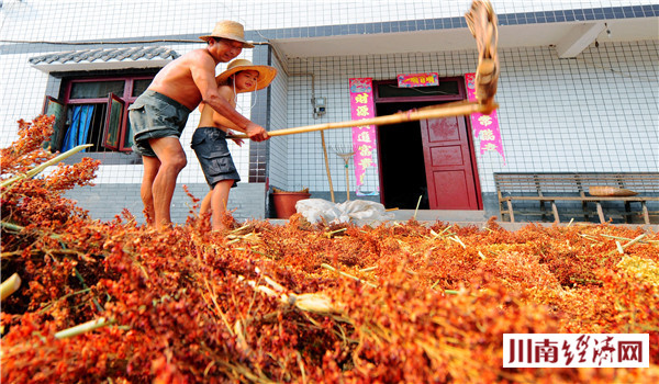 泸州人家红高粱,泸州红高粱38度价格