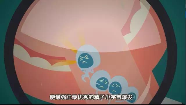 新手爸妈怎样怀孕,简单的造人计划