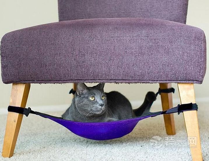 家里有猫咪应该怎么准备装修,养猫咪家里要怎么装修