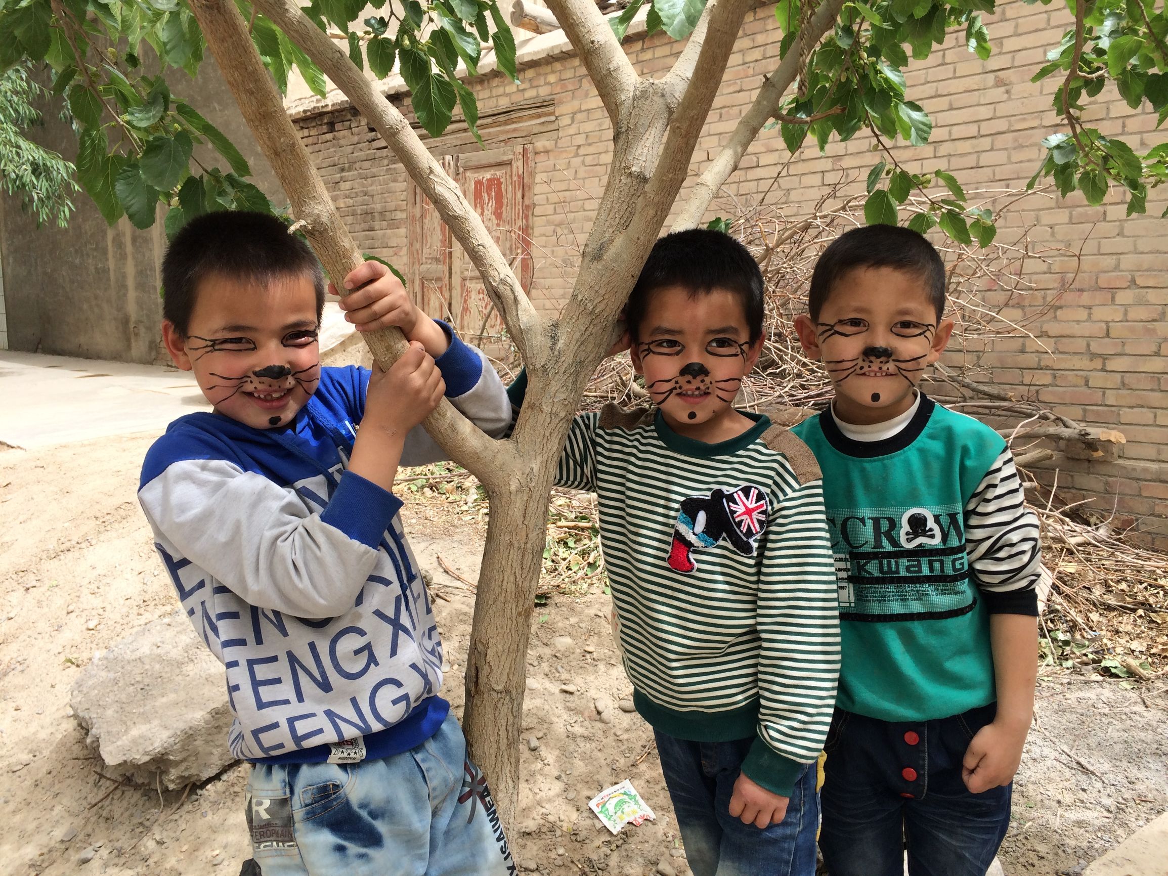 一年“访汇聚”，一生住村情