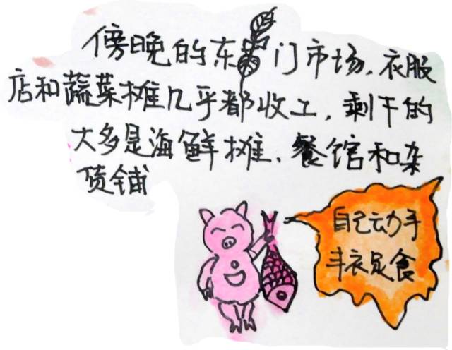 韩国济州岛旅游图片大全,济州岛手绘