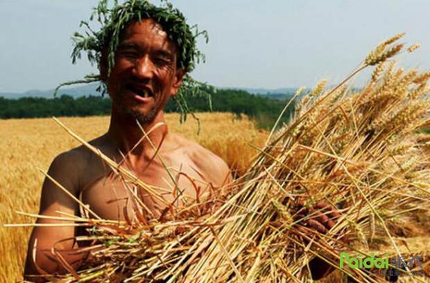 淘宝恶意下单给差评怎么办,淘宝恶意差评勒索投诉有用吗