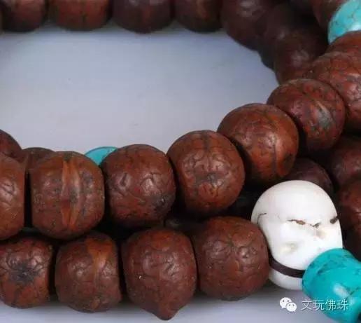 尼泊尔凤眼大的好还是小的好,尼泊尔凤眼菩提好还是金刚好