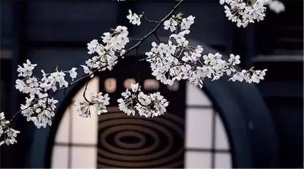 给婴儿买东西不贵怎么说,给宝宝买东西很坑怎么办