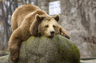 气虚阳虚要咋整呢,阴虚血虚阳虚气虚区别