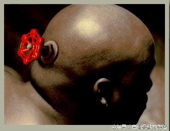 csb51是什么枪,b51什么枪