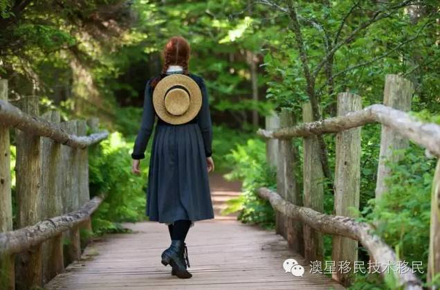 爱德华王子岛风光宁静且美好,爱德华王子岛十大景点