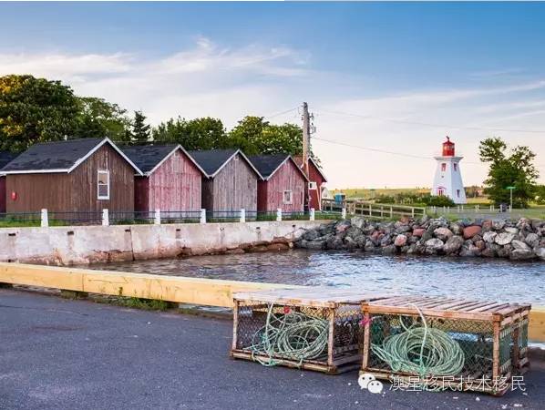 爱德华王子岛风光宁静且美好,爱德华王子岛十大景点