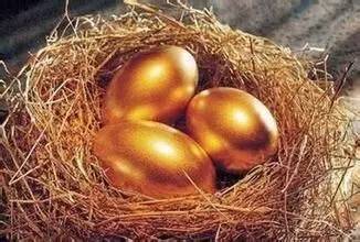 黄金玩家操作方法,黄金玩法视频大全