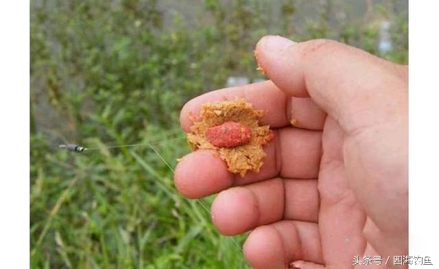 专治野钓不上钩的饵料,野钓鱼不吃钩