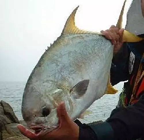 万山岛免费钓点,万山岛岸边钓点