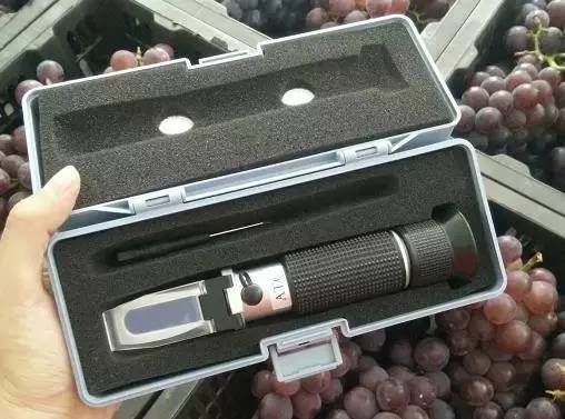 闽北葡萄又一村，教您如何挑选葡萄王