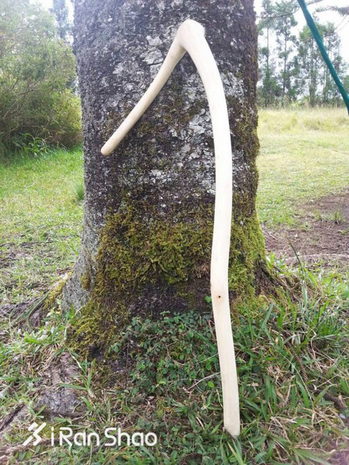 TopX|用过都说好九款运动按摩工具大盘点