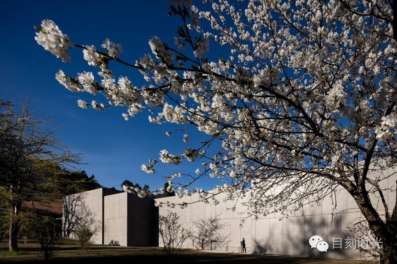 卓别林世界喜剧之王,卓别林的世界